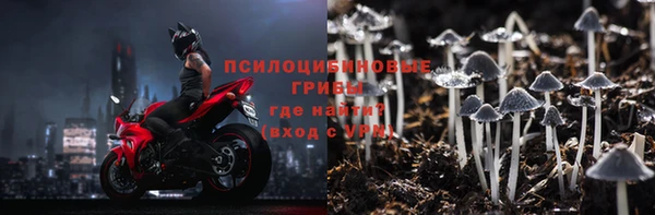 ПСИЛОЦИБИНОВЫЕ ГРИБЫ Арсеньев