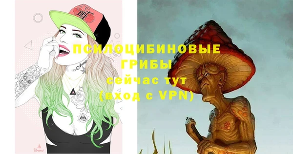apvp Новодвинск